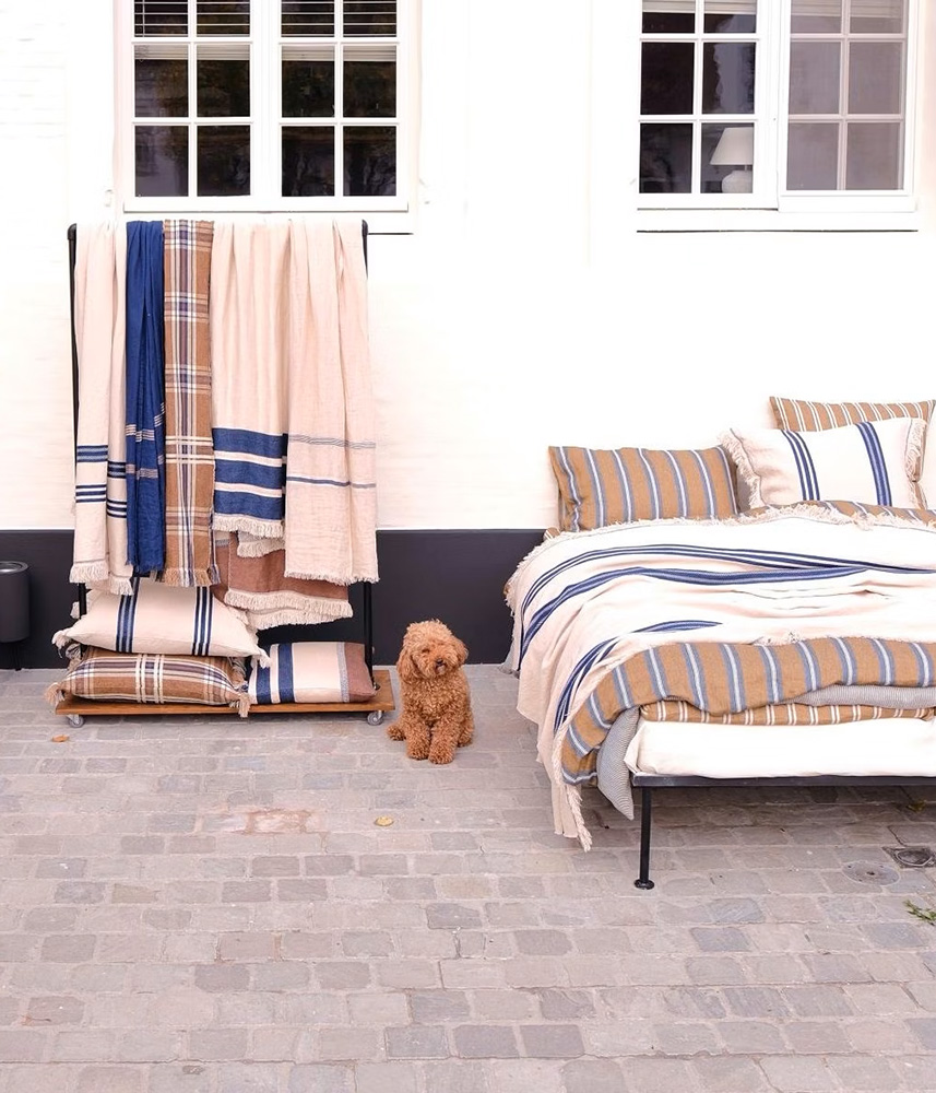 Small brown poodle sits on a brick patio beside a bed with beige and blue striped bedding and a rack holding matching blankets.